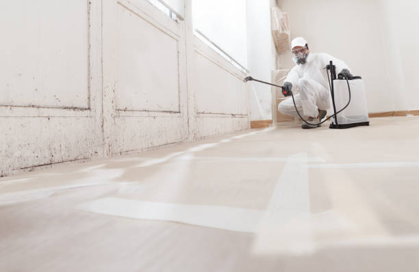 24/7 Emergency Mold Cleanup experts in Bloomfield, NJ